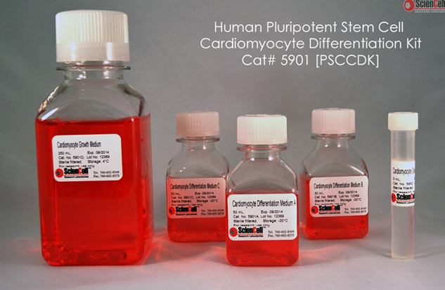 Sciencell 1.png Sciencell 1.png